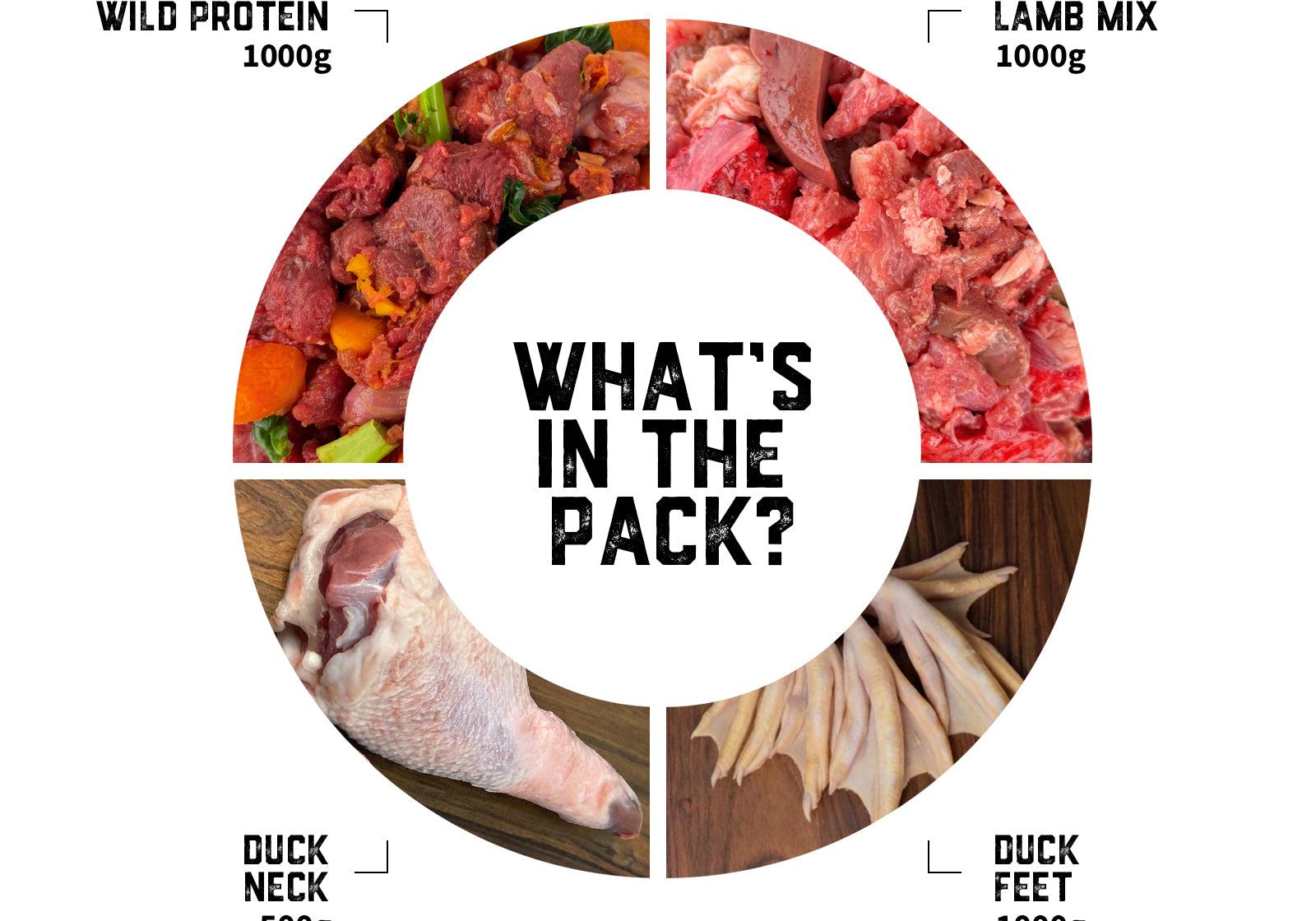 puppy-raw-food-transition-pack-04-slide-2.jpg