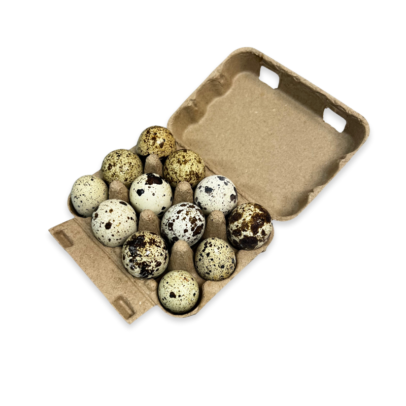 Quail Eggs