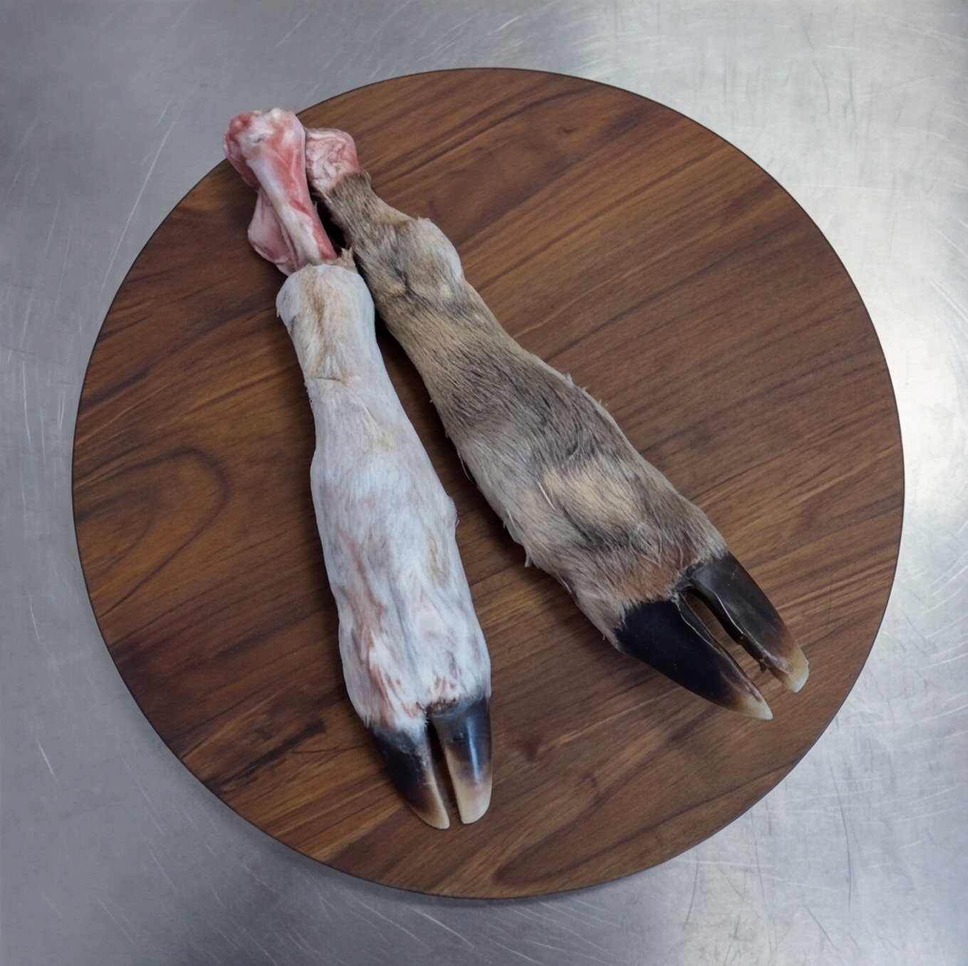 raw-deer-feet-3.png