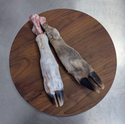 Deer Feet