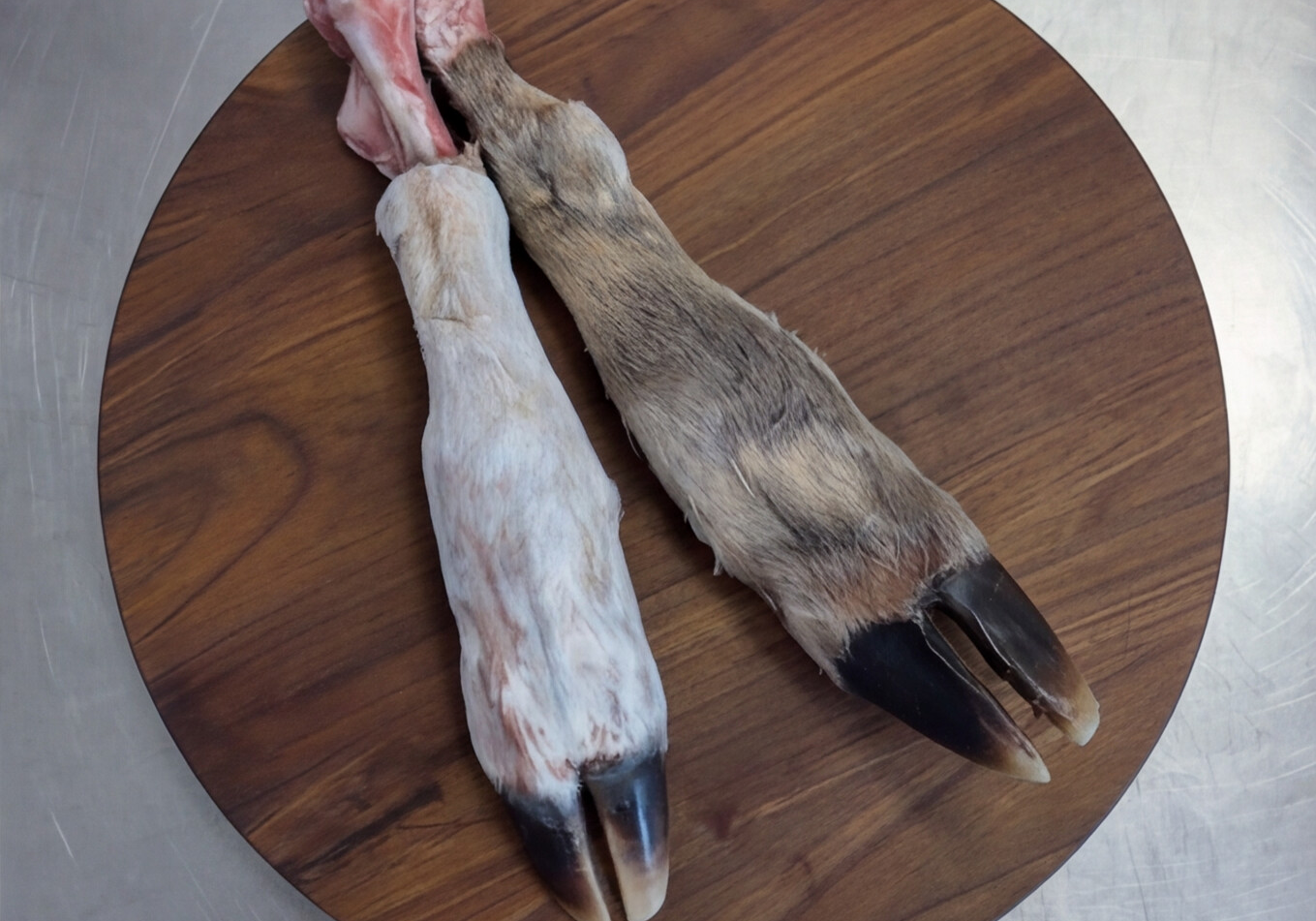 raw-deer-feet-3.png