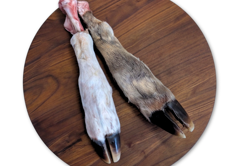 raw-deer-foot_-hooves.png