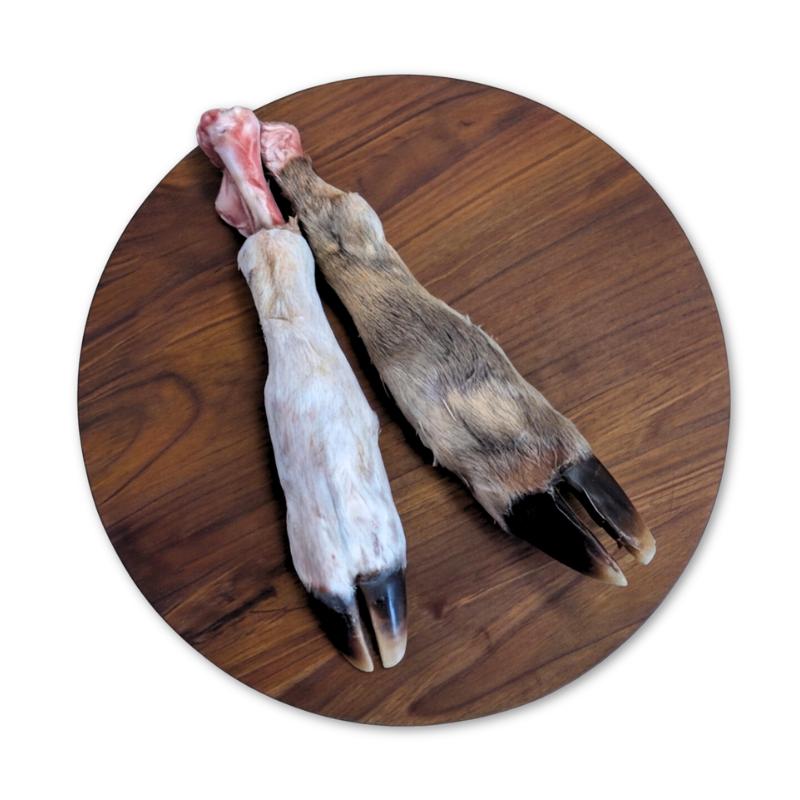 raw-deer-foot_-hooves.png