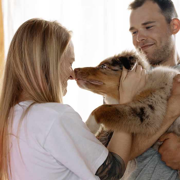 Natural Food For Dogs