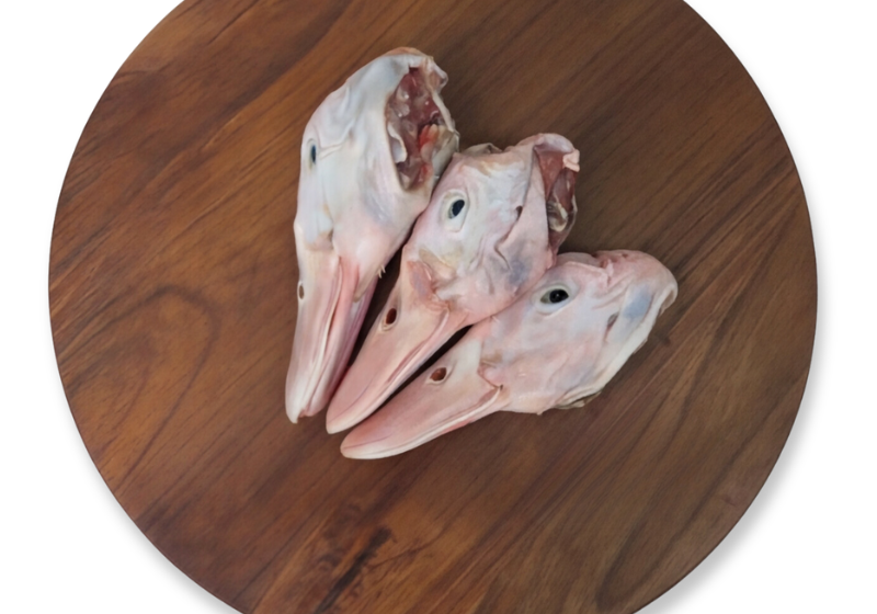 raw-duck--heads-barf.png