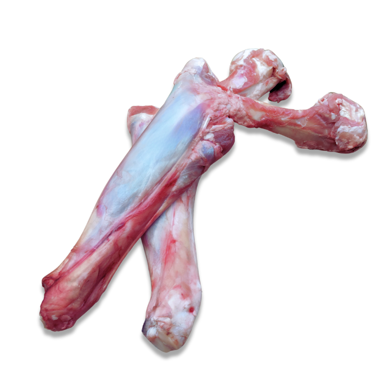 Lamb femur bones for dogs best sale