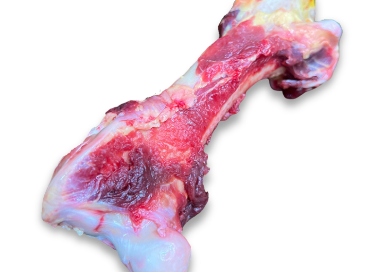 raw-whole-emu-bones.png