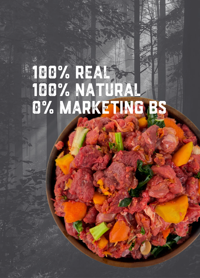 real-raw-pet-foods7_c660a9d8-9c8c-44c4-9ebe-1d6a60c60957.png
