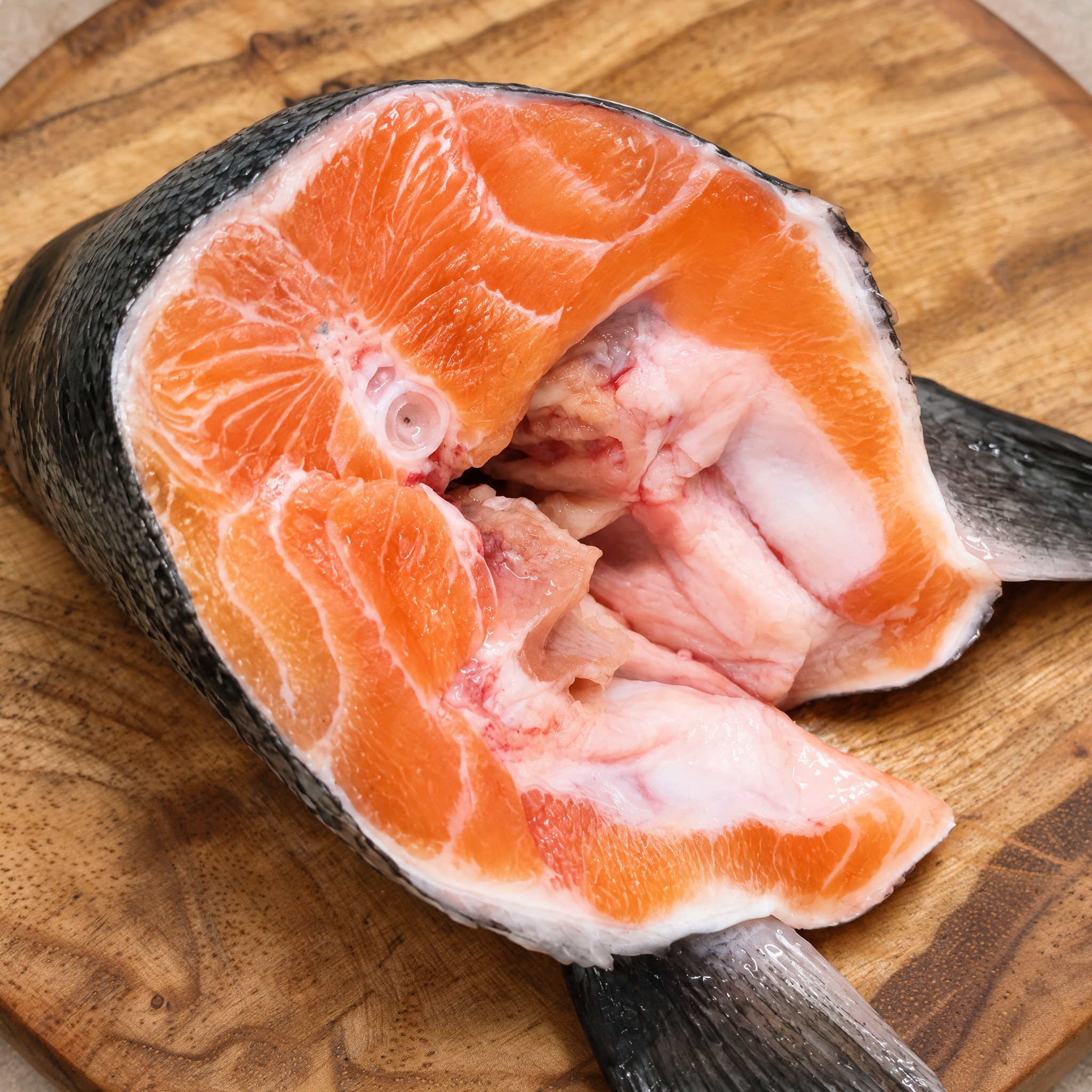 Salmon Head + Frames (2 per pack)