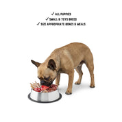 Raw Feeding for Small Dogs - Meal Pack #02