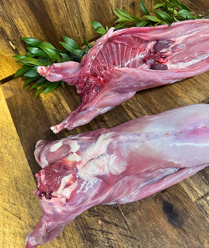 Rabbit Whole Wild Frame