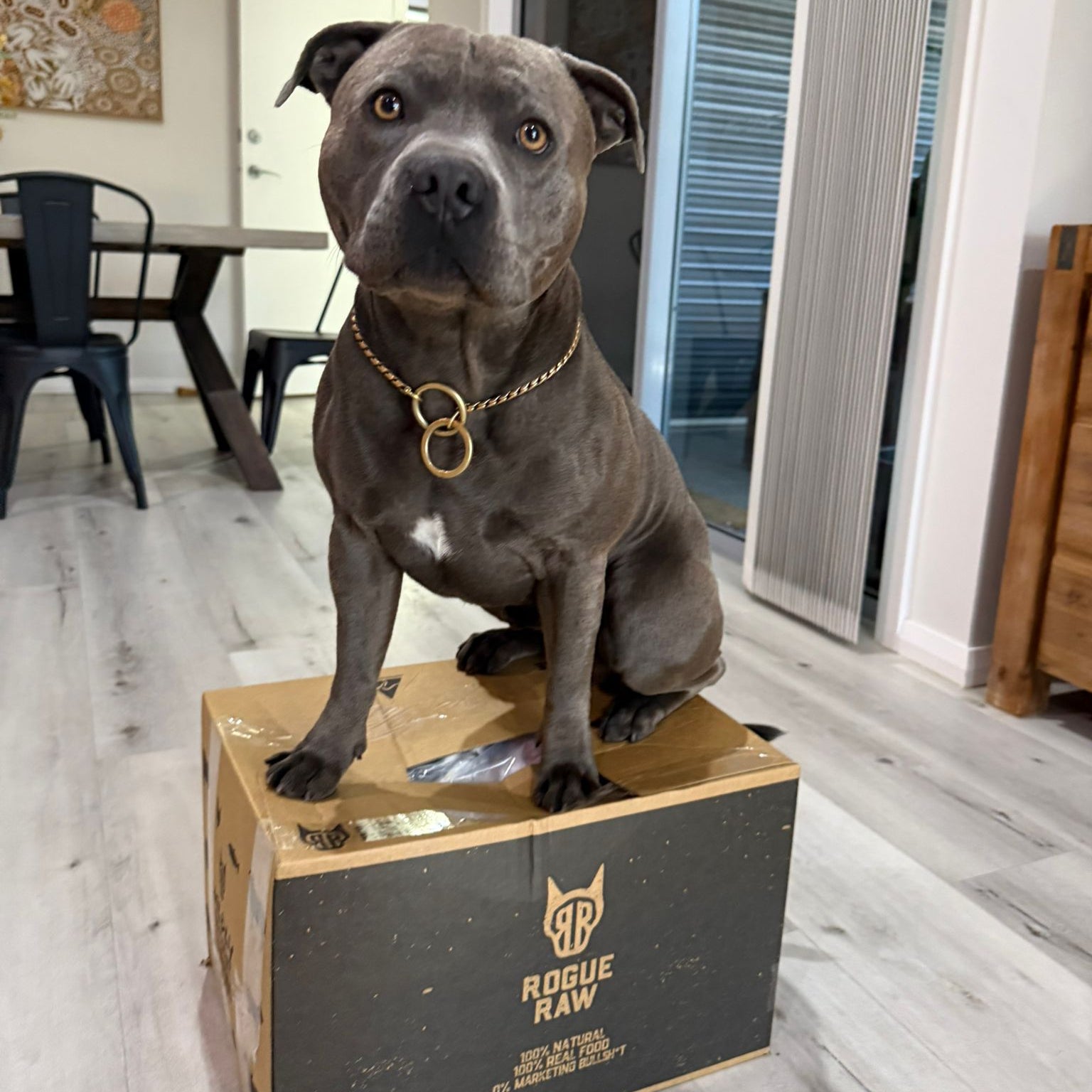 zues-raw-box.jpg