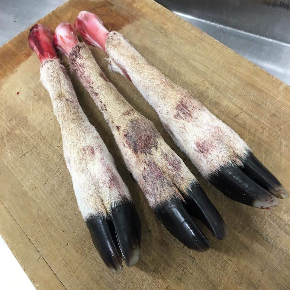 Deer feet for raw food diets for dogs. Available exclusively at Rogue RAW based in Campbelltown Sydney. NSW Australia.