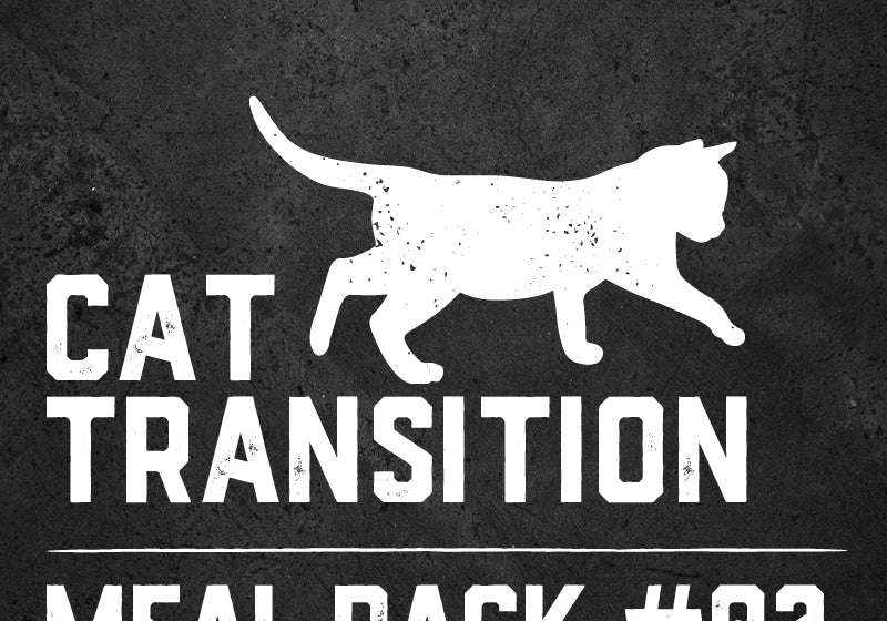 Raw Feeding for Cat Transition