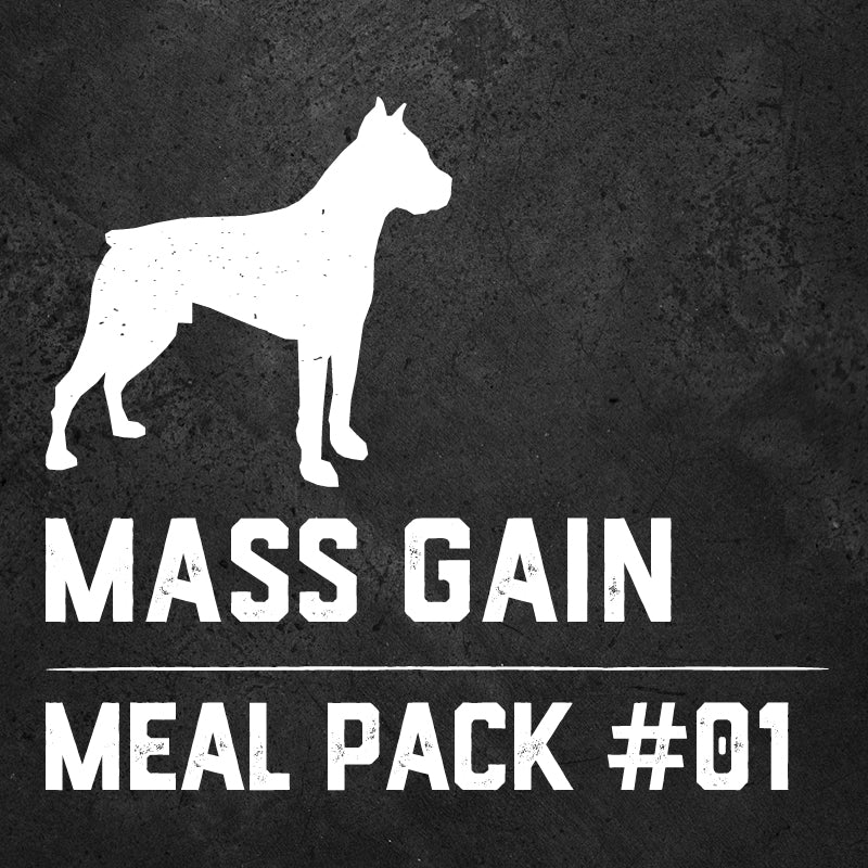 Raw Feeding for Mass Gain Dogs Food