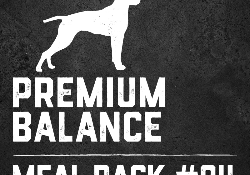 Premium Raw Dog Food