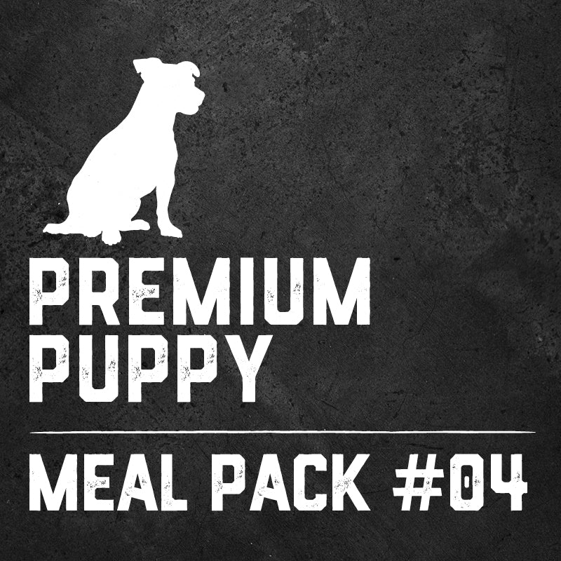 Raw Feeding for Puppies - Meal Pack #04