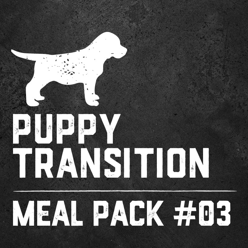Raw Feeding Puppy Transition - Meal Pack #03
