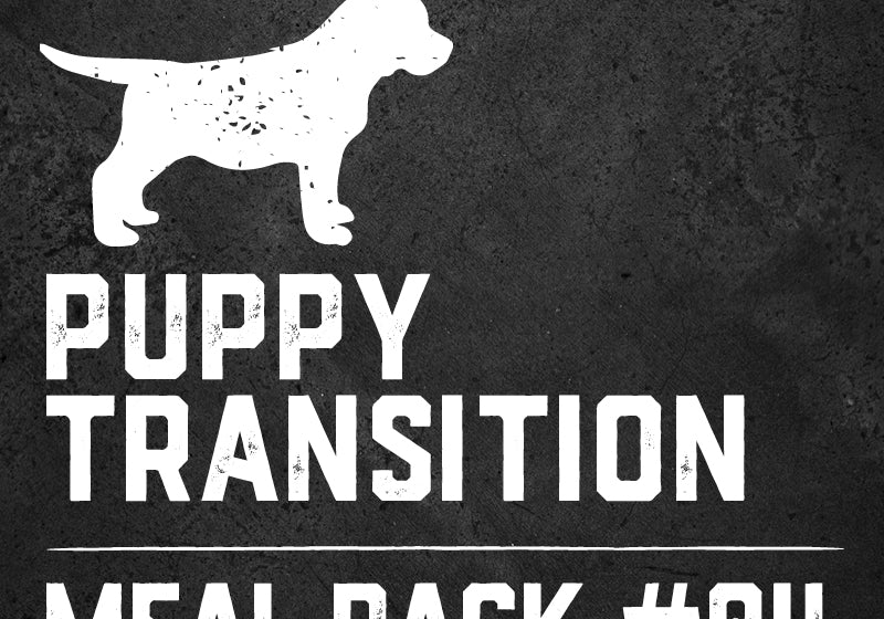 Premium Raw Food Meal For Pets