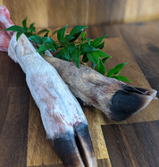 Front View of deer feet, including fur and hooves 