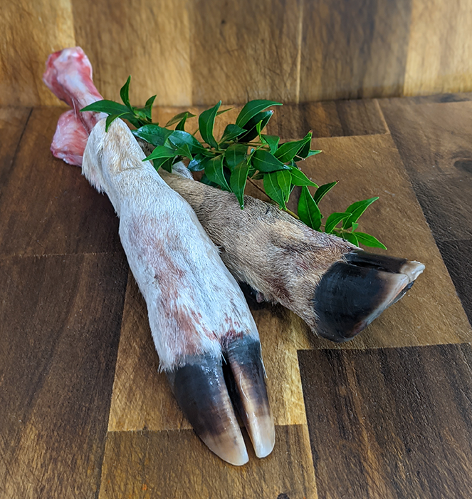 Are raw deer top bones safe for dogs