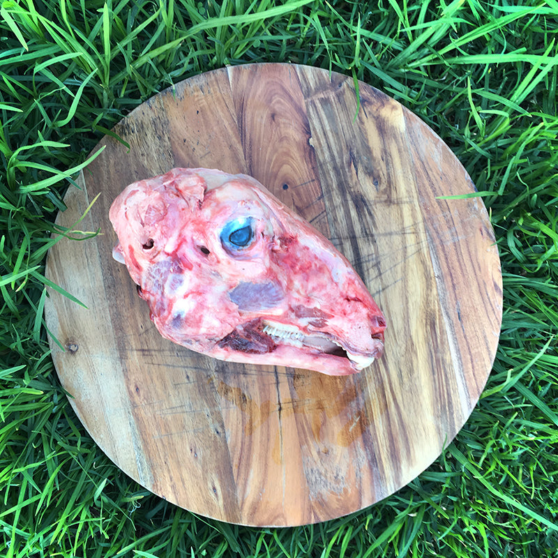 RogueRaw whole raw Lamb Heads for prey model raw feeding. Australian produce.