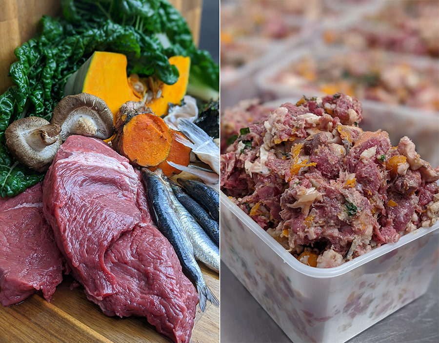 Mixing raw sales food and kibble