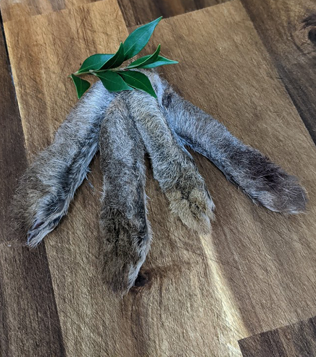 Raw Rabbit Feet for dogs