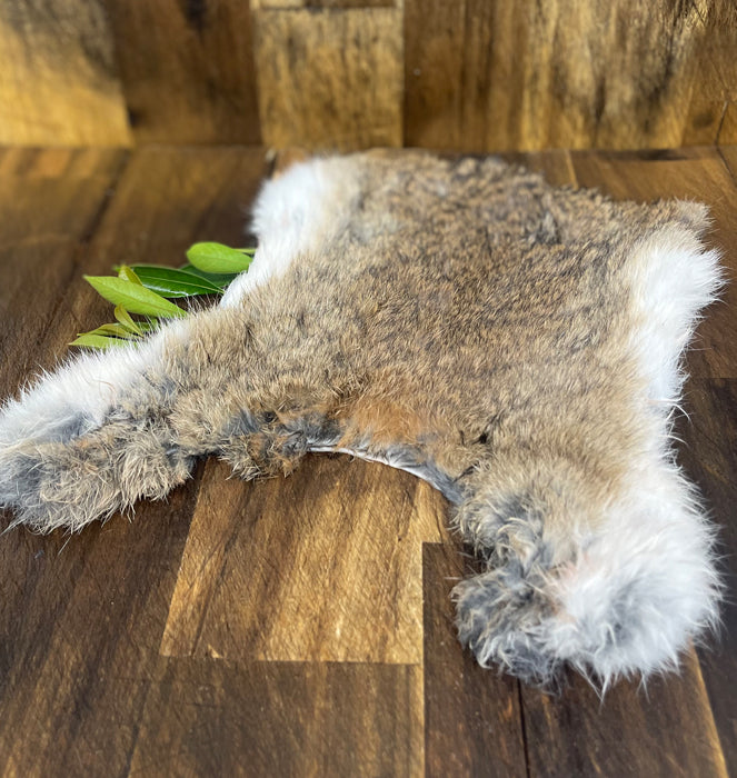 prey raw model for rabbit skin for dogs