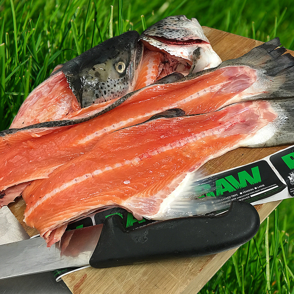 Raw Food - Salmon