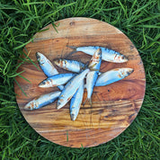 Raw Feeding Cats Australia