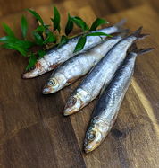 Sardines Wild Dog Food