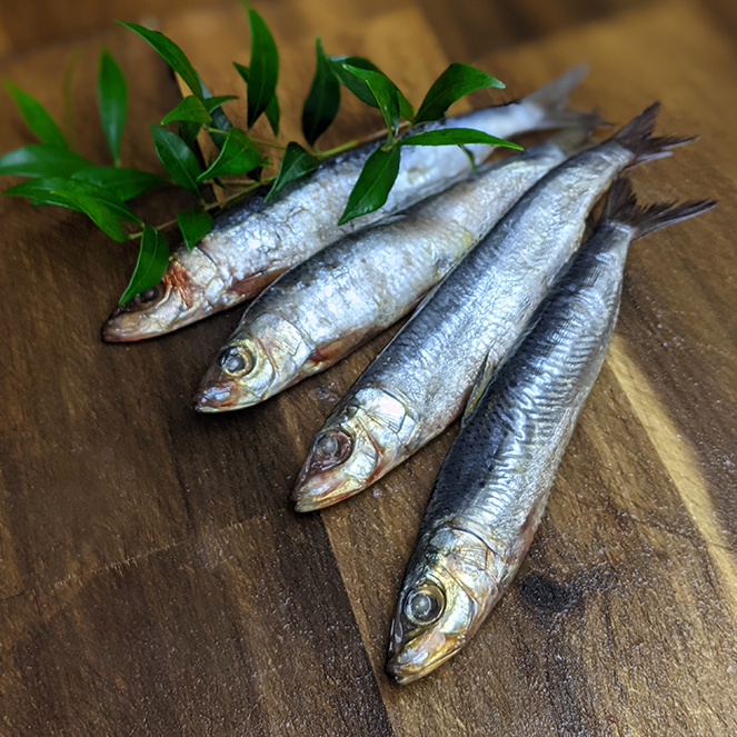 Sardines Wild Dog Food