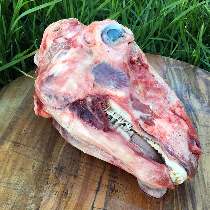 Sheep Heads for Prey model raw diet for dogs